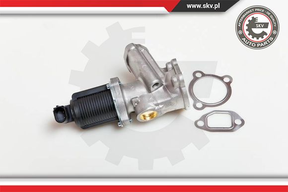 Zawór EGR ESEN SKV 14SKV039