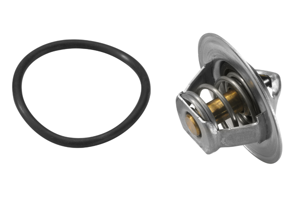 Termostat WAHLER 3167.83D