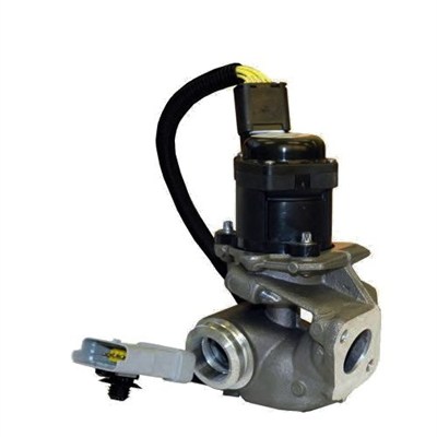 Zawór EGR MAGNETI MARELLI 571822112030