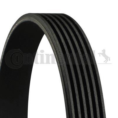 Pasek klinowy wielorowkowy CONTINENTAL CTAM 6PK802 EXTRA
