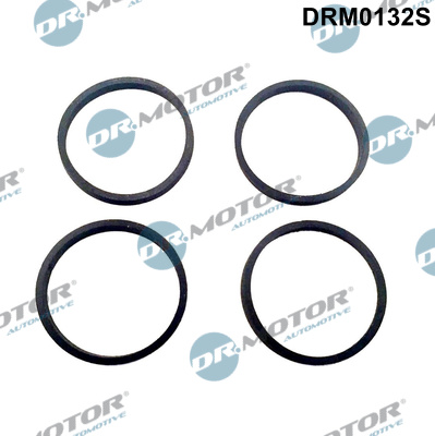 Zestaw uszczelek kolektora ssącego DR.MOTOR AUTOMOTIVE DRM0132S