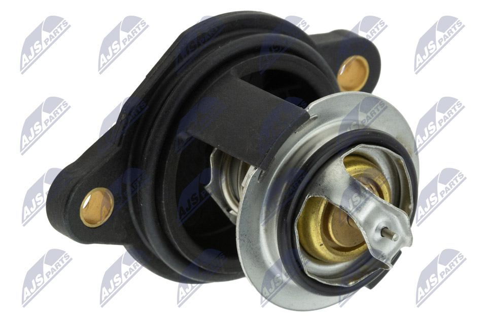 Termostat, środek chłodzący NTY CTM-FR-027