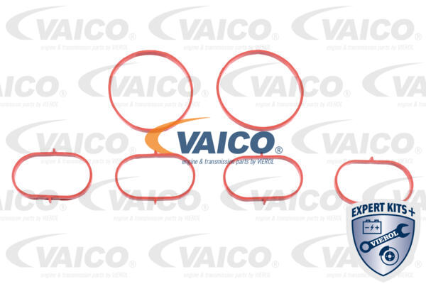 VAICO V30-1744