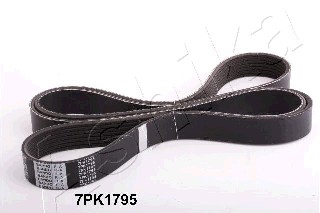 Pasek klinowy wielorowkowy ASHIKA 112-7PK1795