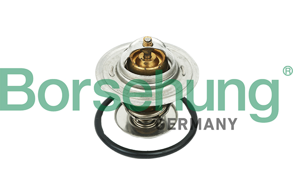 Termostat BORSEHUNG B18268