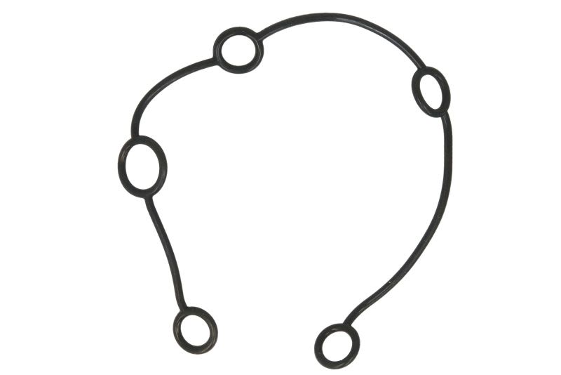 Uszczelka obudowy rozrządu DT SPARE PARTS 2.10262