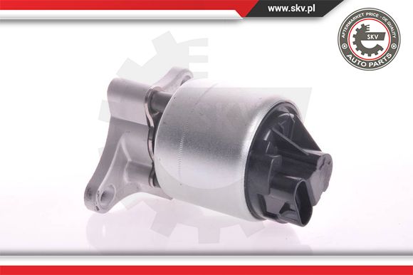 Zawór EGR ESEN SKV 14SKV002