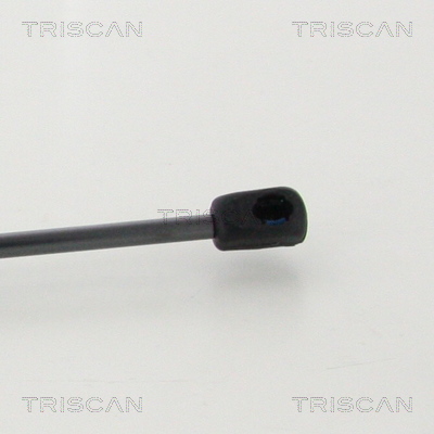 Sprężyna gazowa TRISCAN 8710 292050