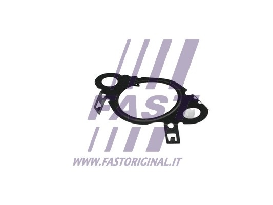 Uszczelnienie zaworu AGR FAST FT50604