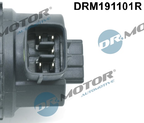Zawór EGR DR.MOTOR AUTOMOTIVE DRM191101R