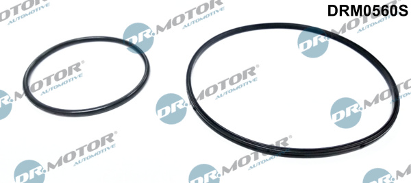 Zestaw uszczelnień, pompa podciśnieniowa DR.MOTOR AUTOMOTIVE DRM0560S