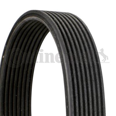 Pasek klinowy wielorowkowy CONTINENTAL CTAM 8DPK1833