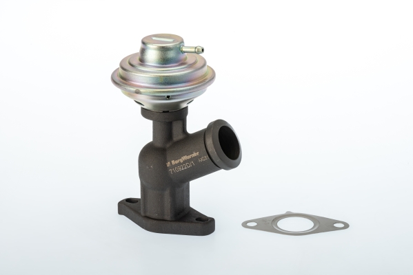Zawór EGR BORGWARNER (WAHLER) 710922D/1