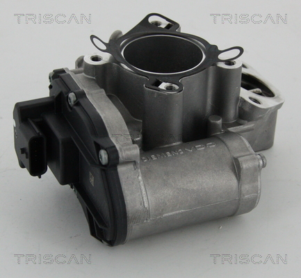 Zawór EGR TRISCAN 8813 24039