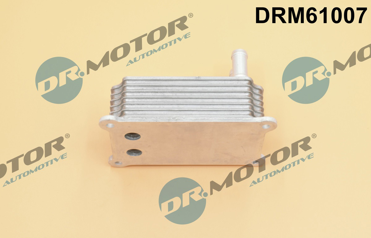 Chłodnica oleju silnikowego DR.MOTOR AUTOMOTIVE DRM61007