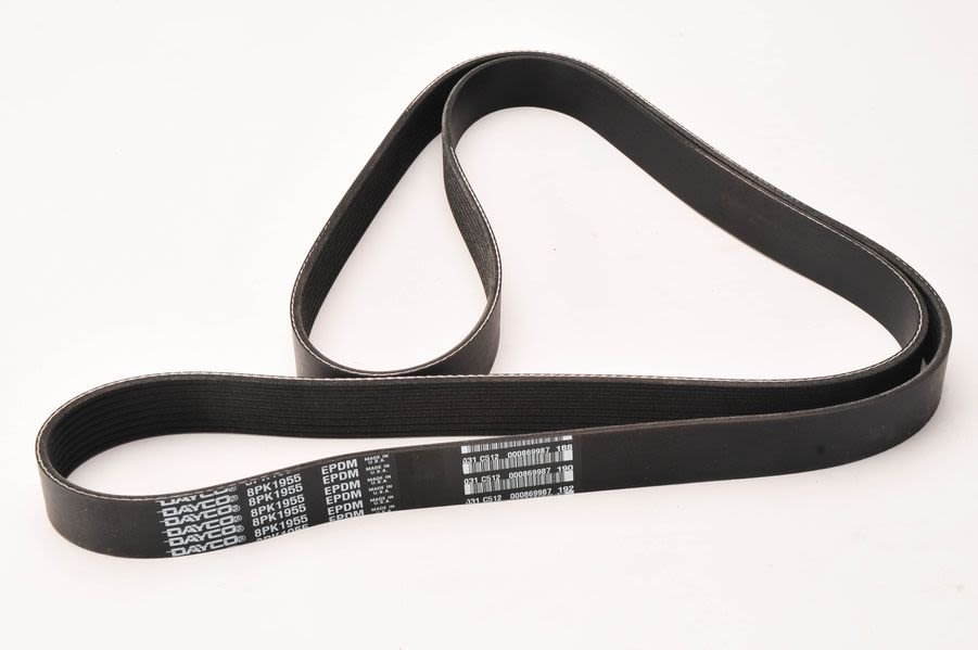 Pasek klinowy wielorowkowy DAYCO 8PK1955HD