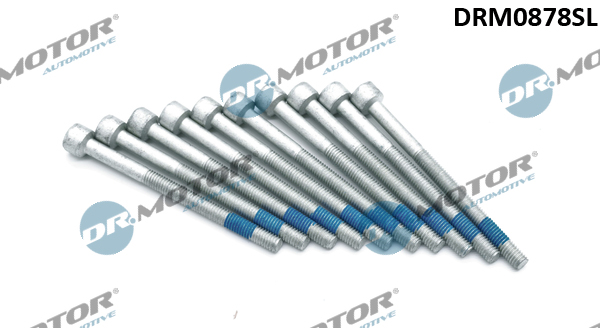 Śruba wtryskiwacza DR.MOTOR AUTOMOTIVE DRM0878SL