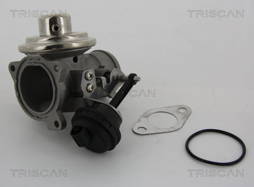 Zawór EGR TRISCAN 8813 29001
