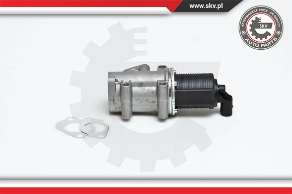 Zawór EGR ESEN SKV 14SKV006