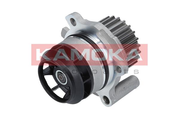 Pompa wody KAMOKA T0022