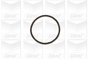 Pompa wody GRAF PA654