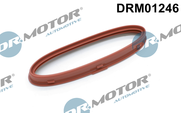Pierścień uszczelniający, doładowanie DR.MOTOR AUTOMOTIVE DRM01246