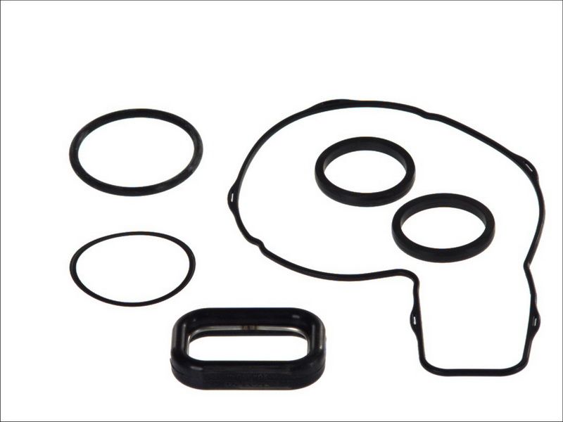 Zestaw uszczelek, pompa wodna DT SPARE PARTS 2.91541