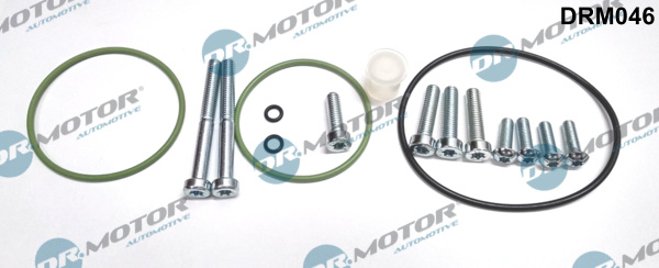 Zestaw naprawczy pompy podciśnienia DR.MOTOR AUTOMOTIVE DRM046