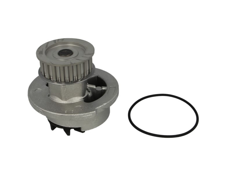 Pompa wody HEPU P312