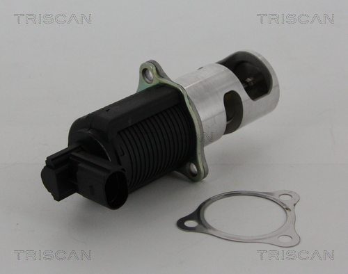 Zawór EGR TRISCAN 8813 25038