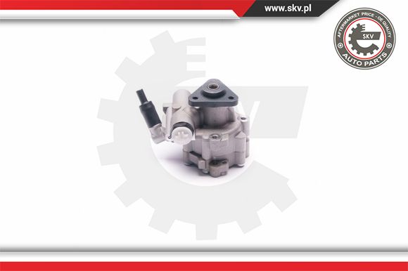 Pompa wspomagania ESEN SKV 10SKV030