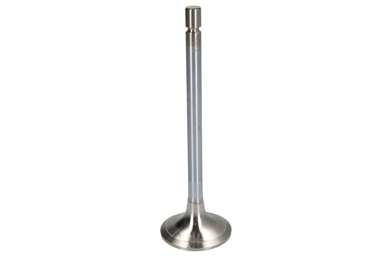 Zawór ssący DT SPARE PARTS 4.62630
