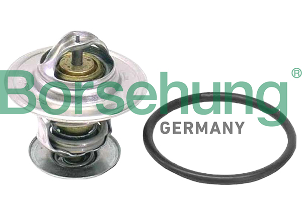 Termostat BORSEHUNG B18262