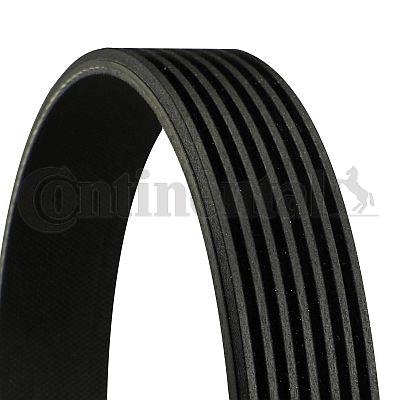 Pasek klinowy wielorowkowy CONTITECH 7PK1801