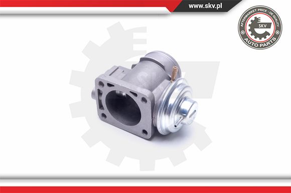 Zawór EGR ESEN SKV 14SKV174
