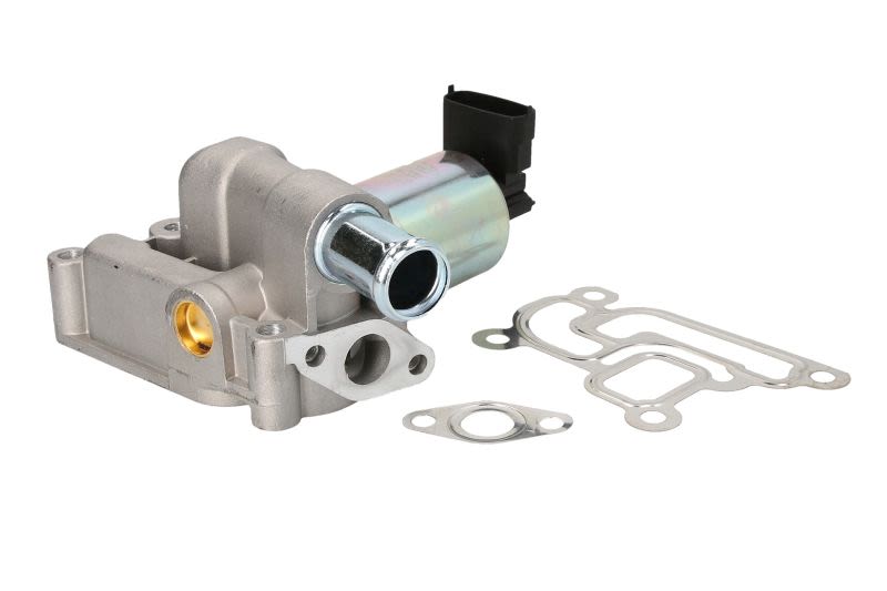 Zawór EGR MAGNETI MARELLI 571822112056