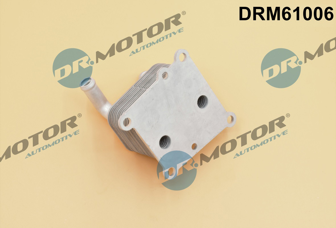Chłodnica oleju silnikowego DR.MOTOR AUTOMOTIVE DRM61006