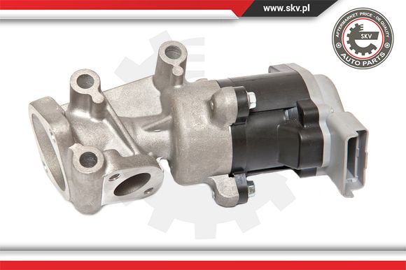 Zawór EGR ESEN SKV 14SKV066