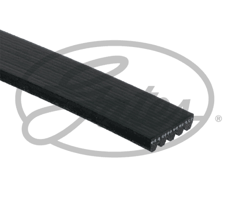 Pasek klinowy wielorowkowy GATES 5PK1256EST