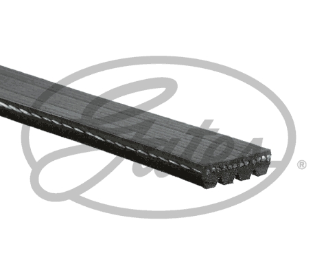 Pasek klinowy wielorowkowy GATES K040517RPM