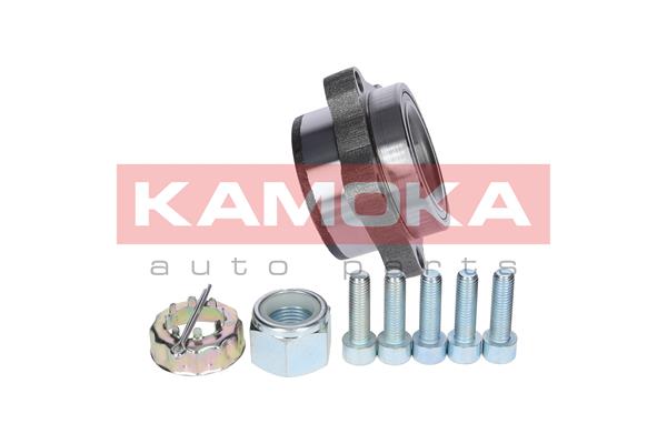 Zestaw łożysk koła KAMOKA 5500138