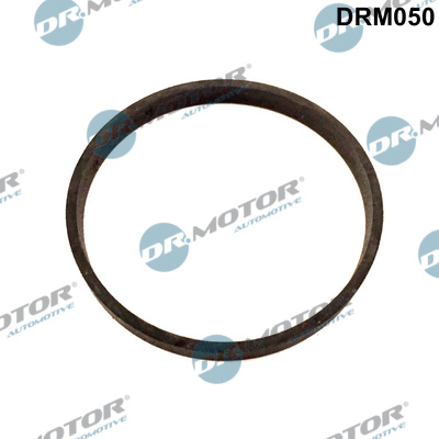Uszczelnienie zaworu AGR DR.MOTOR AUTOMOTIVE DRM050