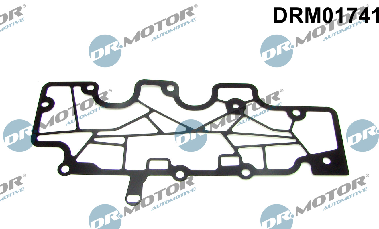 Uszczelka, wentylacja skrzyni korbowej DR.MOTOR AUTOMOTIVE DRM01741