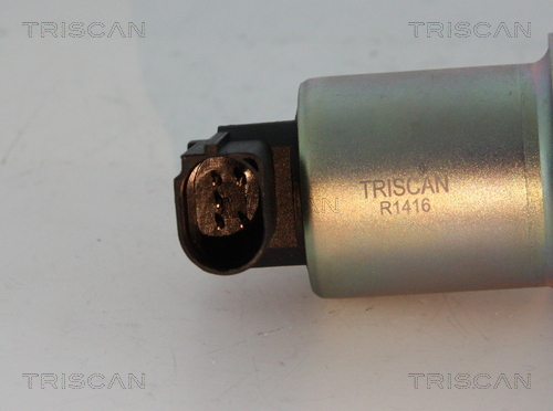 Zawór EGR TRISCAN 8813 29004