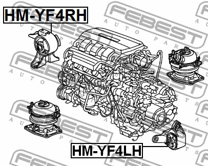 Poduszka silnika FEBEST HM-YF4RH