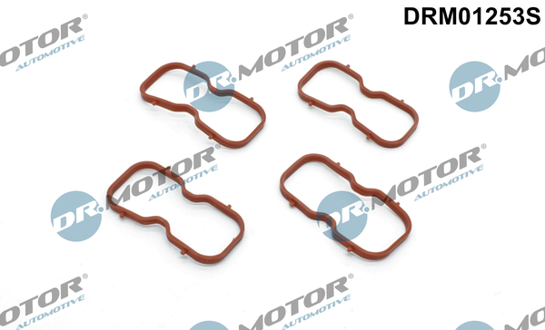 Zestaw uszczelek kolektora ssącego DR.MOTOR AUTOMOTIVE DRM01253S