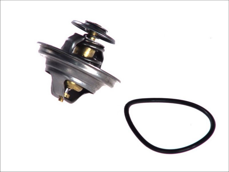 Termostat TOPRAN 500 542