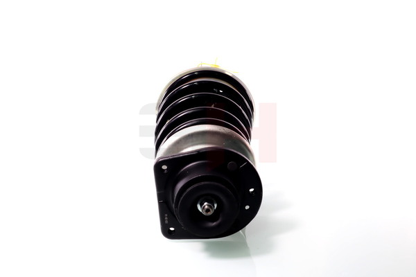 Amortyzator teleskopowy GH GH-352399C02