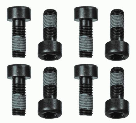 Zestaw śrub koła zamachowego SACHS 1874 000 060
