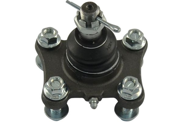 Sworzeń wahacza KAVO PARTS SBJ-9008